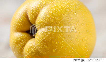 Close up of a single fresh quince covered with glistening water droplets, showcasing its vibrant yellow color and delicate texture 129372308