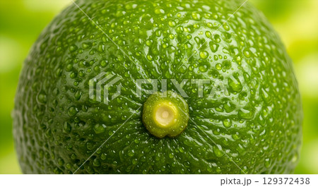 Close up of a fresh green lime with water droplets showcasing its vibrant texture and color perfect for summer 129372438