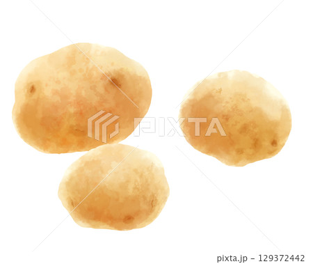 水彩で描いた素朴なじゃがいも3つ 129372442