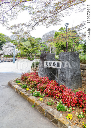 大宮神社石銘板を見る入り口風景 129372445