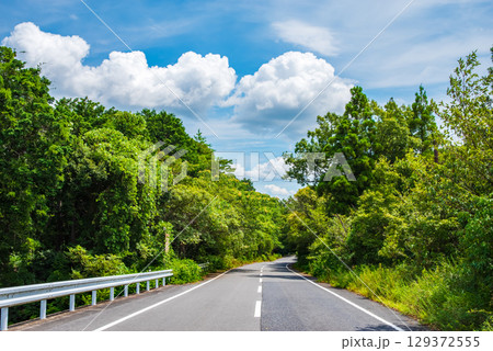 夏空に向かって伸びる高原道路 夏空に向かって伸びる高原道路 129372555