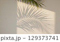 Palm leaf shadow elegantly displayed on a white wall, enhancing the tranquil ambiance of the space, showcasing the beauty of natural light and simplicity 129373741