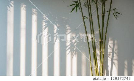 Elegant bamboo plant positioned against a wall, casting beautiful shadows, illuminated by natural light, enhancing the tranquil ambiance of the environment Elegant bamboo plant positioned against a wall, casting beautiful shadows, illuminated by natural light, enhancing the tranquil ambiance of the environment 129373742