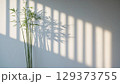 Bamboo plant is positioned against a textured wall, with soft light casting delicate shadows, enhancing the peaceful ambiance of the contemporary interior design 129373755