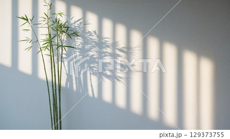 Bamboo plant is positioned against a textured wall, with soft light casting delicate shadows, enhancing the peaceful ambiance of the contemporary interior design Bamboo plant is positioned against a textured wall, with soft light casting delicate shadows, enhancing the peaceful ambiance of the contemporary interior design 129373755