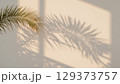 Palm leaf creates beautiful shadows on a soft wall, enhancing the tranquil ambiance of the space, ideal for nature-themed projects and interior design inspiration 129373757