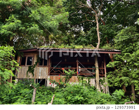 A beautiful beach cottage, wonderfully embraced by vibrant thick greenery 129373991