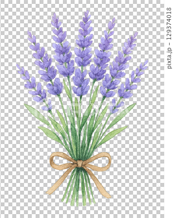 水彩系列：薰衣草花束 129374018