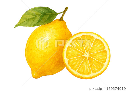 水彩シリーズ：レモンとレモンの断面 129374019