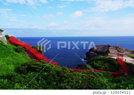 赤い鳥居 元乃隅神社382 赤い鳥居 元乃隅神社382 129374511