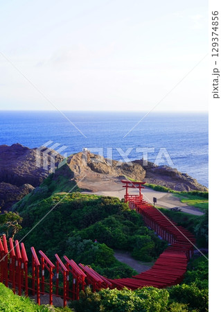 赤い鳥居 元乃隅神社251 赤い鳥居 元乃隅神社251 129374856