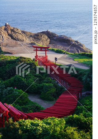 赤い鳥居　　元乃隅神社253 129374857