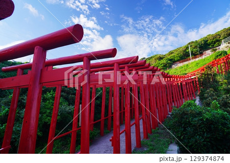 赤い鳥居 元乃隅神社293 赤い鳥居 元乃隅神社293 129374874