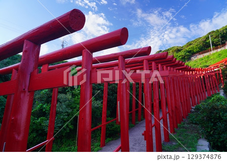 赤い鳥居　　元乃隅神社296 129374876