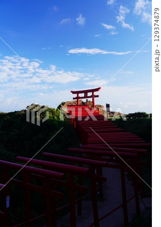 赤い鳥居　　元乃隅神社305 129374879