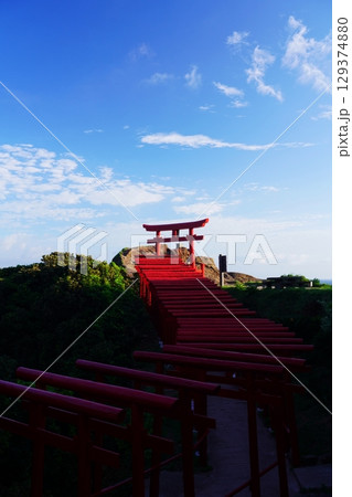 赤い鳥居 元乃隅神社306 赤い鳥居 元乃隅神社306 129374880
