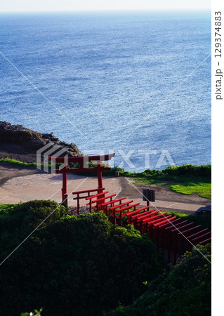 赤い鳥居　　元乃隅神社316 129374883