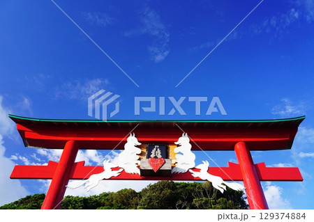 赤い鳥居 元乃隅神社319 赤い鳥居 元乃隅神社319 129374884