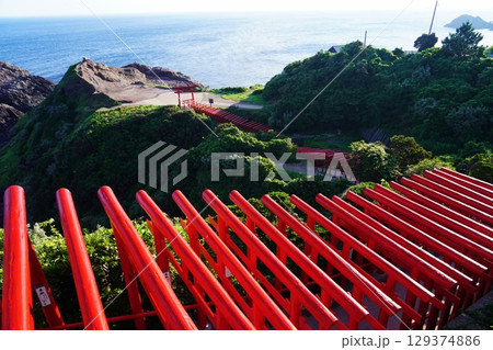 赤い鳥居 元乃隅神社326 赤い鳥居 元乃隅神社326 129374886