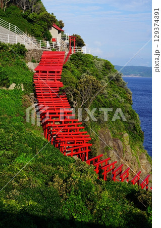 赤い鳥居　　元乃隅神社339 129374891