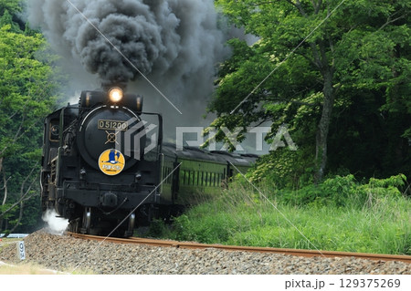 SLやまぐち号 D51 1793 SLやまぐち号 D51 1793 129375269