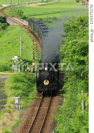 SLやまぐち号 D51 1834 SLやまぐち号 D51 1834 129375270