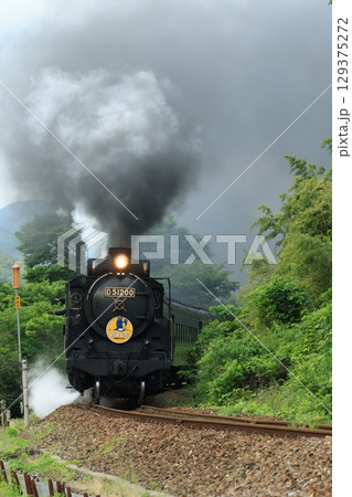 SLやまぐち号　D51　1871 129375272