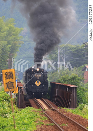 SLやまぐち号 D51 9633 SLやまぐち号 D51 9633 129375287