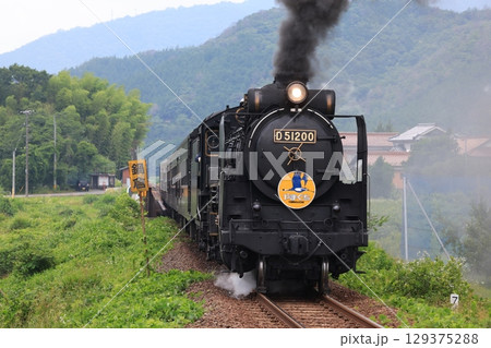 SLやまぐち号 D51 9683 SLやまぐち号 D51 9683 129375288