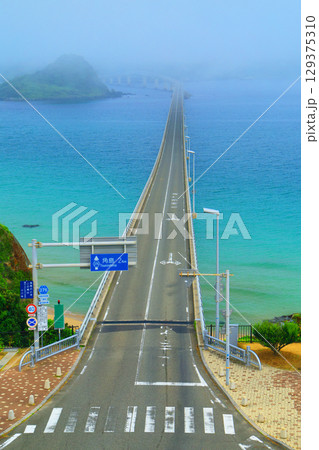 霧の角島大橋 2159 129375310