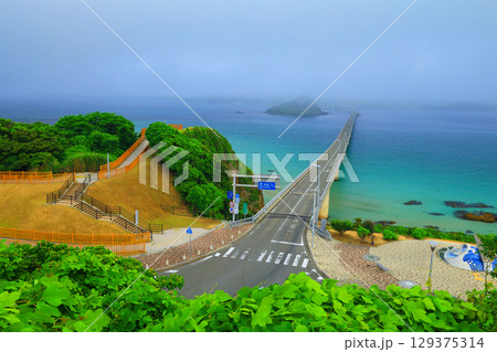 霧の角島大橋 2178 129375314