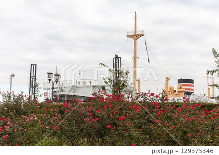 横浜・山下公園　バラのある風景 129375346