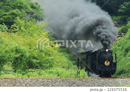 SLやまぐち号　D51  2645 129375538