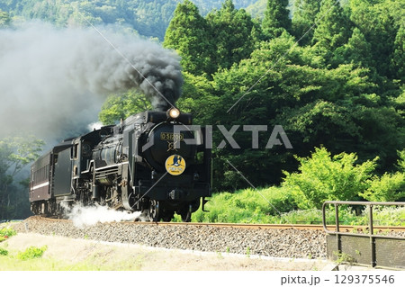 SLやまぐち号 D51 2711 SLやまぐち号 D51 2711 129375546