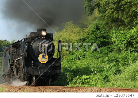 SLやまぐち号 D51 2739 SLやまぐち号 D51 2739 129375547