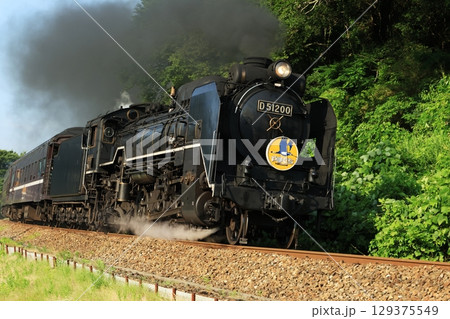 SLやまぐち号 D51 2746 SLやまぐち号 D51 2746 129375549