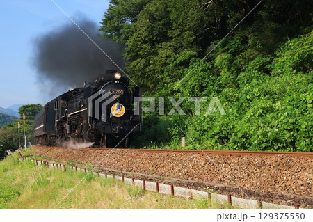 SLやまぐち号　D51  1 129375550