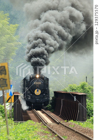 SLやまぐち号 D51 1695 SLやまぐち号 D51 1695 129375570