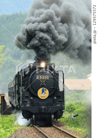 SLやまぐち号　D51　1734 129375572