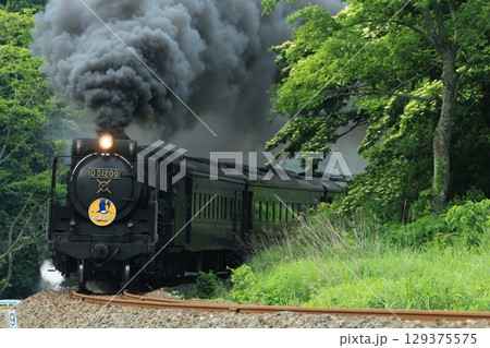 SLやまぐち号 D51 1768 SLやまぐち号 D51 1768 129375575