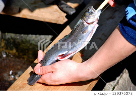 キャンプ場で釣った魚を炭火で塩焼き キャンプ場で釣った魚を炭火で塩焼き 129376078