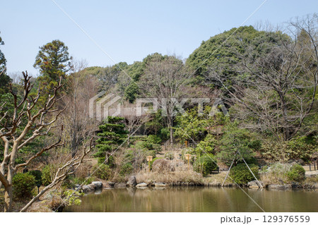 池のある風景 129376559