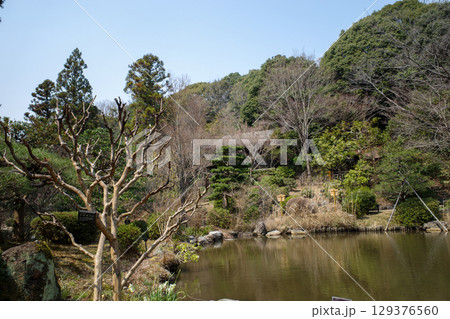 池のある風景 129376560