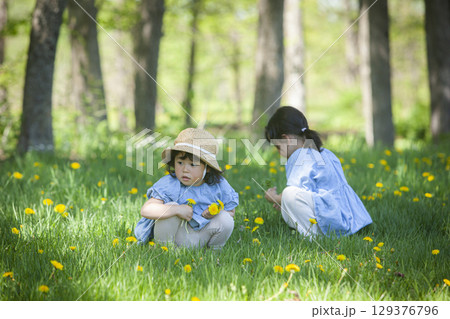 花畑で遊ぶ姉妹 花畑で遊ぶ姉妹 129376796