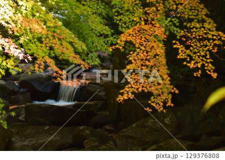 紅葉と小滝 紅葉と小滝 129376808
