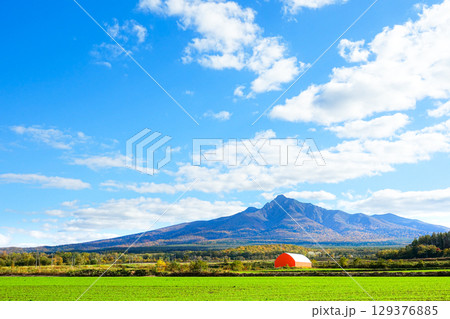 気持ちのいい秋晴れの空と雄大な斜里岳の風景 129376885