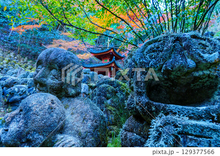 京都　愛宕念仏寺の秋 129377566
