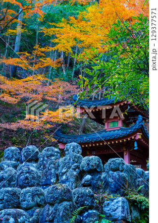 京都　愛宕念仏寺の秋 129377571