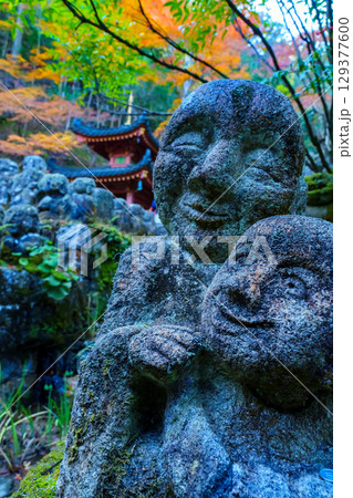 京都 愛宕念仏寺の秋 京都 愛宕念仏寺の秋 129377600
