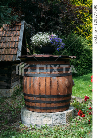 Old wooden wine barrel repurposed as a garden planter with blooming flowers in a rustic outdoor setting. Upcycling, sustainable gardening, rural craftsmanship, traditional winemaking 129377690